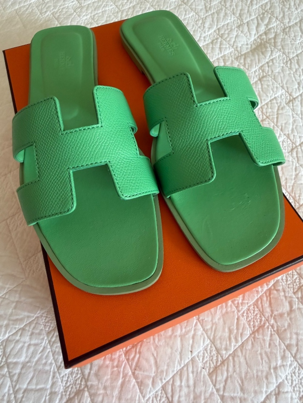 Hermes Orans - Picture 9 of 10